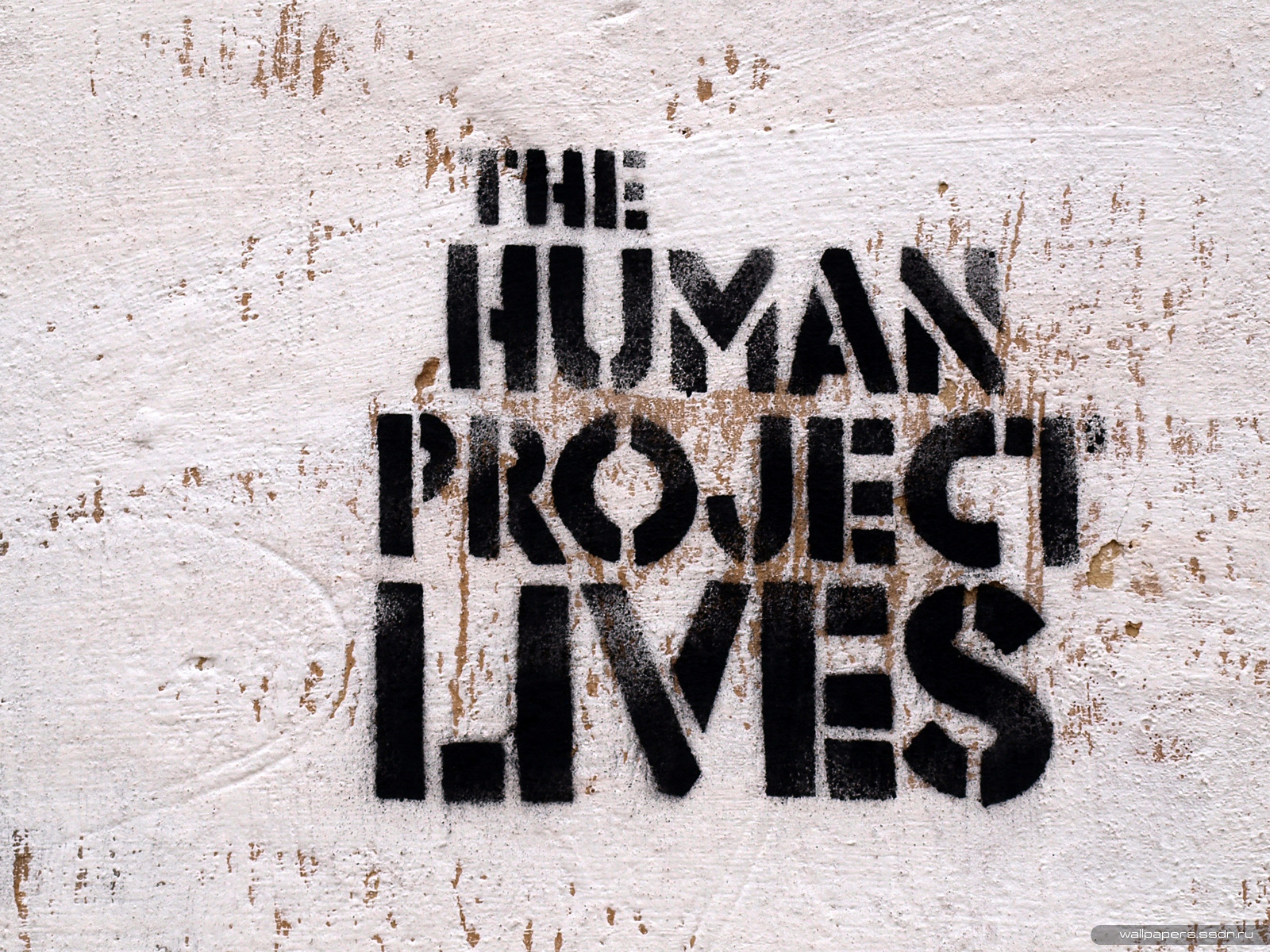    : The Human project lives      