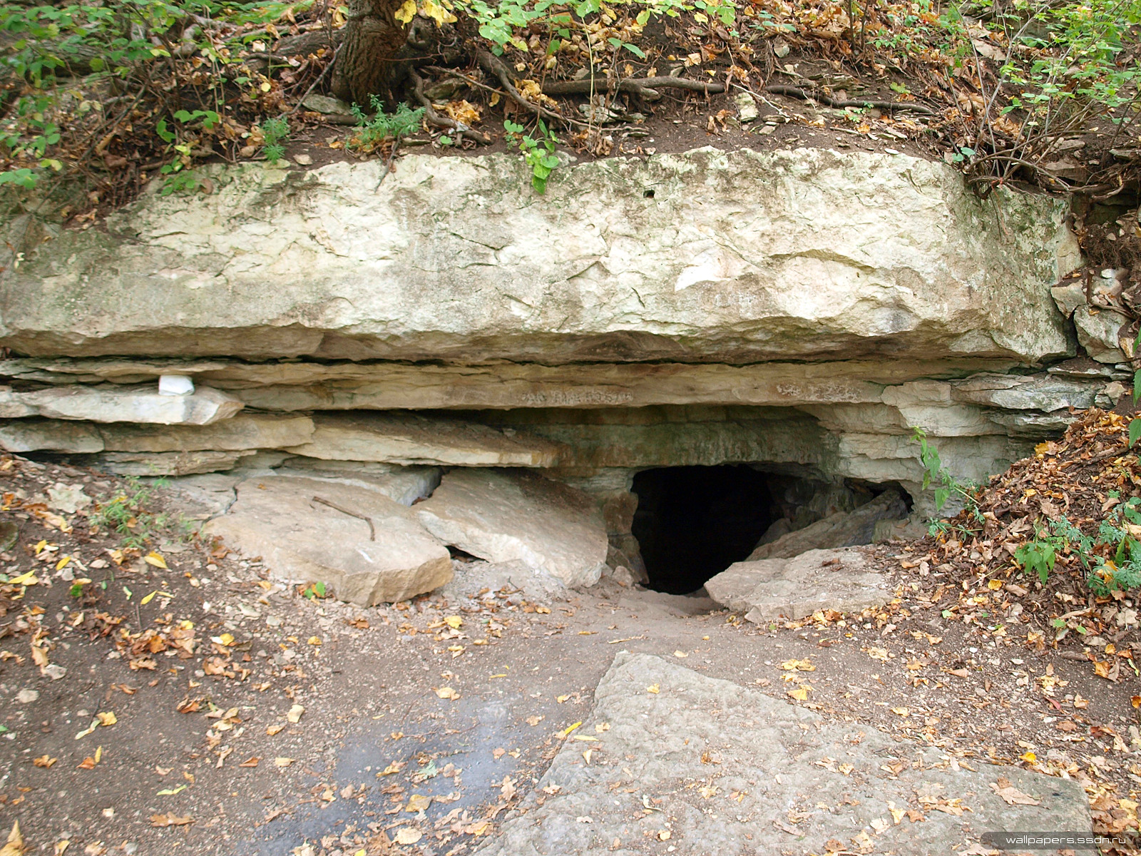Кольцовские пещеры Калуга