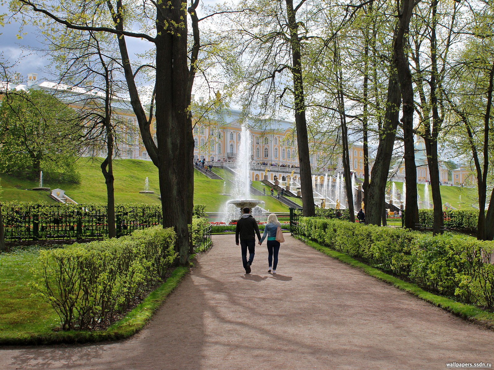    :  , -, , ,  , Peterhof, Peterhof